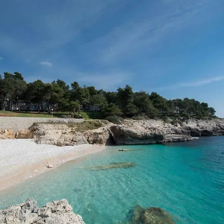 Mendikovic 11022 Lägenhet