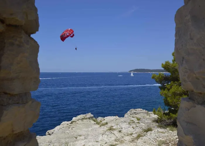 Mendikovic 11022 * Pula