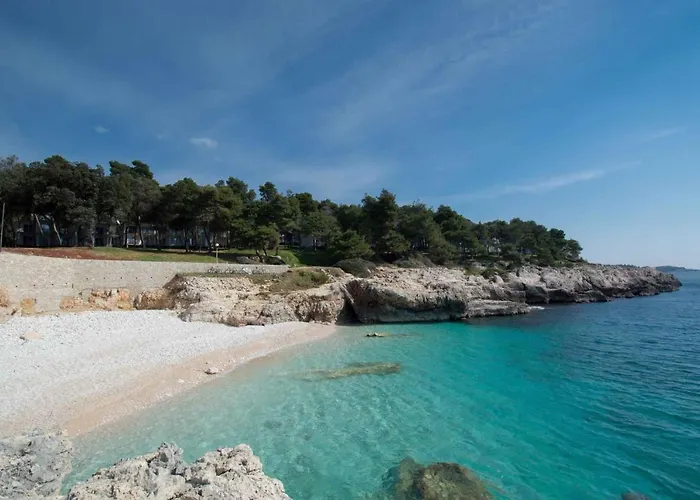 Mendikovic 11022 Apartman