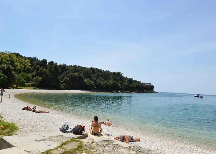 Apartman Mendikovic 11022